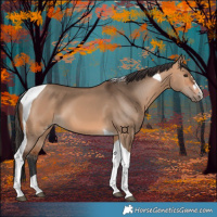 Horse Color:Bay Dun Tobiano 