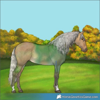 Horse Color:Silver Buckskin Dun 