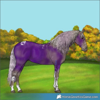 Horse Color:Silver Grullo Tobiano 