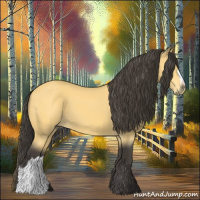 Horse Color:Buckskin 