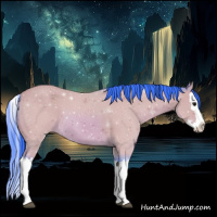 Horse Color:Watercolor Bay Splash 