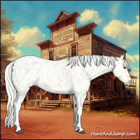 Horse Color:Silver Buckskin Dun Tobiano Appaloosa 