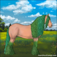 Horse Color:Watercolor Bay 