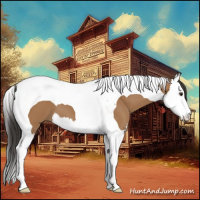 Horse Color:Bay Splash Tobiano