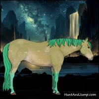 Horse Color:Watercolor Bay 