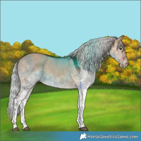 Horse Color:White Spotted Silver Brown Dun Tobiano 