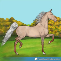 Horse Color:Silver Sable Champagne Dun 