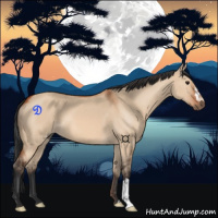 Horse Color:Brown Dun