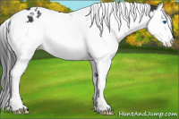 Horse Color:Black Splash Tobiano Varnish 