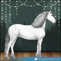 Horse Color:Liver Red Dun Appaloosa 