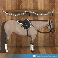 Horse Color:Liver Red Dun Brindle 