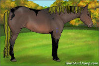 Horse Color:Void Painted Brown Tobiano Varnish 