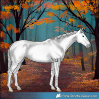 Horse Color:Gray Bay Dun Tobiano