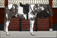 Horse Color:White Spotted Smoky Black Tobiano
