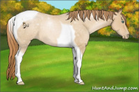 Horse Color:Smoky Black Pearl Tobiano 