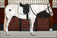 Horse Color:White Spotted Smoky Creme Dun 