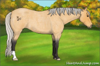 Horse Color:Silver Buckskin Roan 