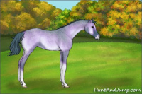 Horse Color:Watercolor Smoky Blue Onyx Roan 