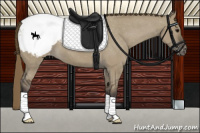 Horse Color:Smoky Grullo Appaloosa 