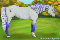 Horse Color:Watercolor Silver Buckskin Roan 