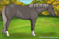 Horse Color:Silver Black 