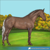 Horse Color:Silver Black 