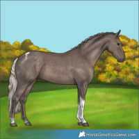 Horse Color:Silver Black Tobiano 