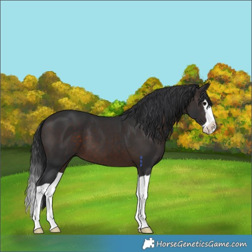 Horse Color:Brown Splash 