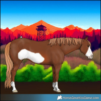 Horse Color:Chestnut Frame 