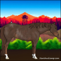 Horse Color:Liver Chestnut Rabicano 