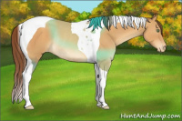 Horse Color:Sable Cream Champagne Tobiano Appaloosa Rabicano 