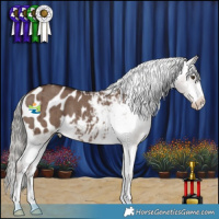 Horse Color:Liver Red Dun Mushroom Appaloosa Brindle