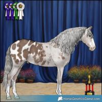 Horse Color:Liver Red Dun Mushroom Appaloosa Brindle