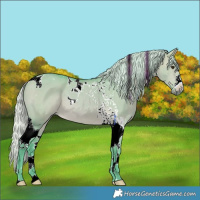 Horse Color:Watercolor Silver Bay Dun Tobiano 