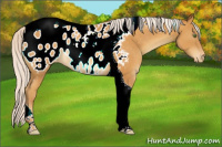 Horse Color:Silver Sable Cream Champagne Tobiano Blanket 