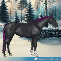 Horse Color:Painted Black