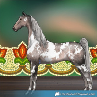 Horse Color:Platinum White Spotted Chocolate Palomino Rabicano 