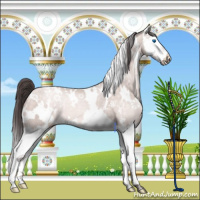 Horse Color:Platinum White Spotted Sable Cream Champagne Splash Rabicano 