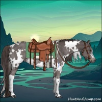 Horse Color:Platinum White Spotted Liver Chestnut Rabicano 