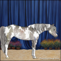 Horse Color:Platinum White Spotted Chocolate Palomino Rabicano 