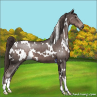 Horse Color:Platinum White Spotted Liver Chestnut 