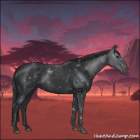 Horse Color:Black 