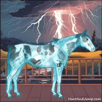 Horse Color:Thunderstruck Black Splash Tobiano