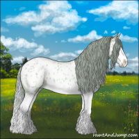 Horse Color:Watercolor Amber Cream Champagne Splash Appaloosa 