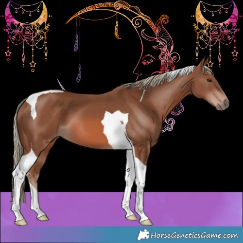 Horse Color:Chestnut Mushroom Tobiano