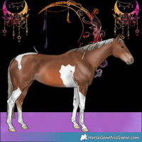Horse Color:Chestnut Mushroom Tobiano 