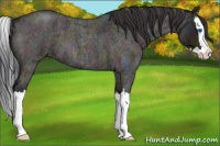 Horse Color:Midnight Brown Ice Roan Dun Splash 