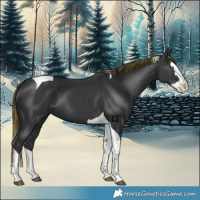 Horse Color:Painted Black Splash Tobiano 