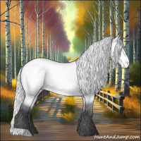 Horse Color:Silver Buckskin Chinchilla Dun Appaloosa 