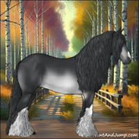 Horse Color:Brown Chinchilla 